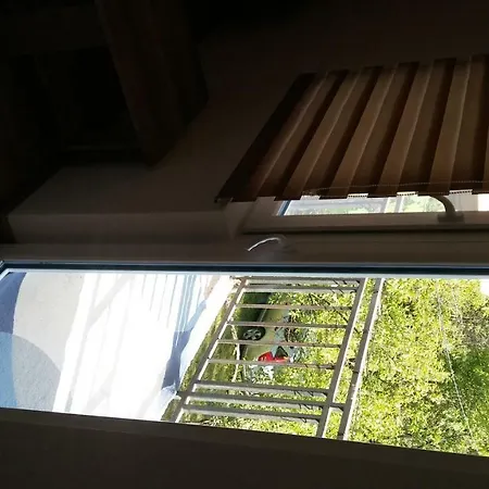 Oaza *